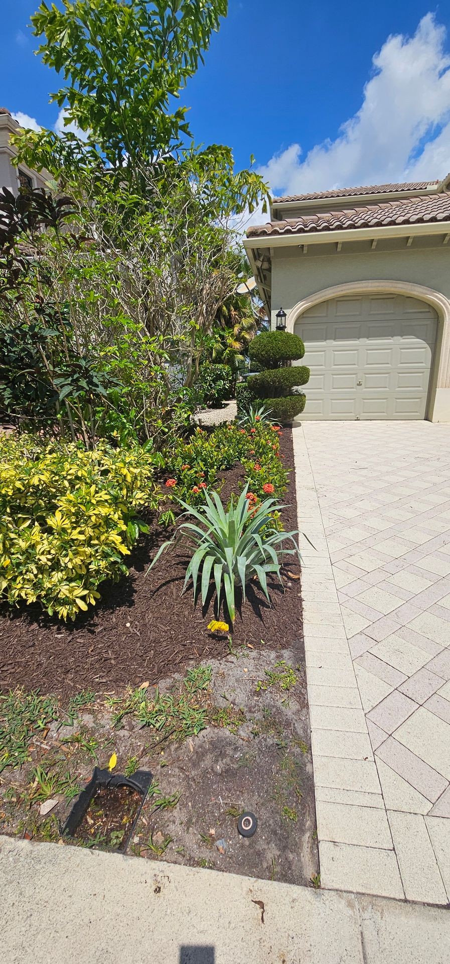 Front yard with landscaped garden, bushes, and a garage in the background under a blue sky.